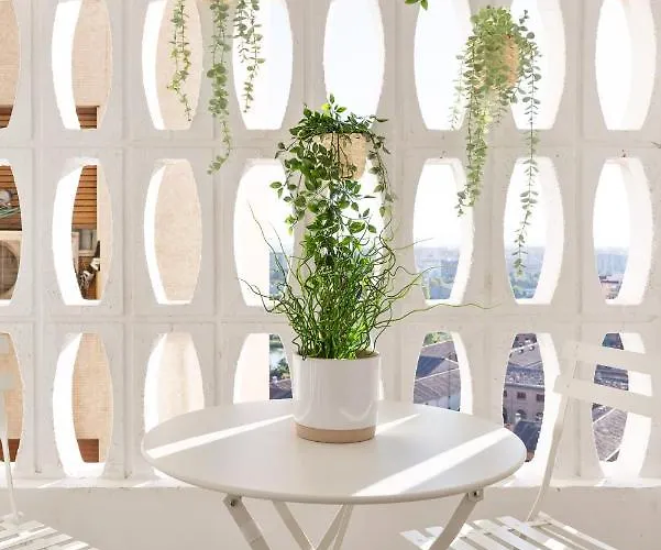 Mirador De Predicadores Zaragoza